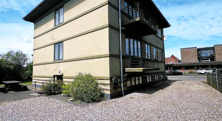 Oasen — photo 3