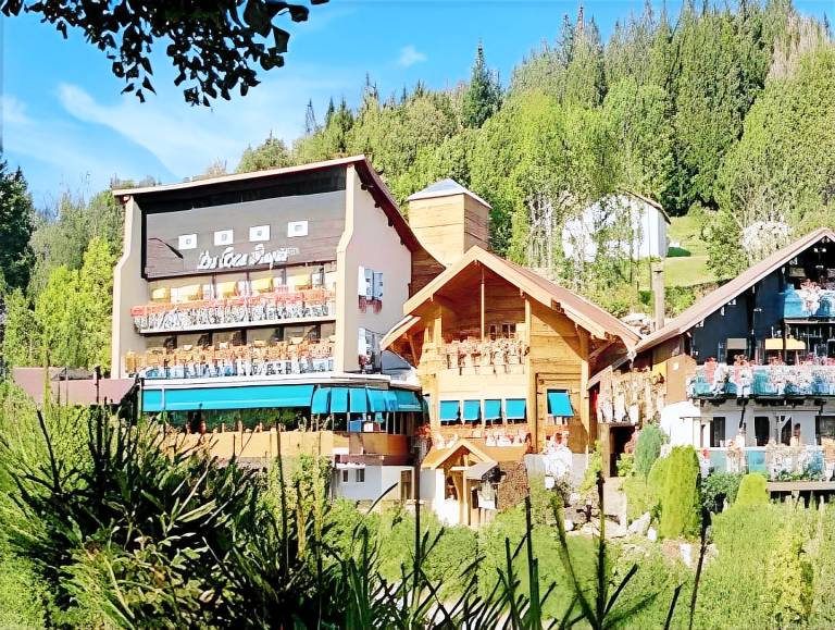 Hotel-Restaurant Les Bas-Rupts, Singuliers Hotel in Gérardmer