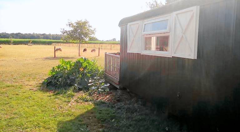 Pipowagen Lidewei Groningen Westerwolde unieke ligging met eigen tuin en vrij uitzicht over veld naa