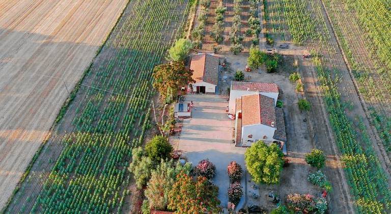 Rental apartment with garden & barbecue in Piombino