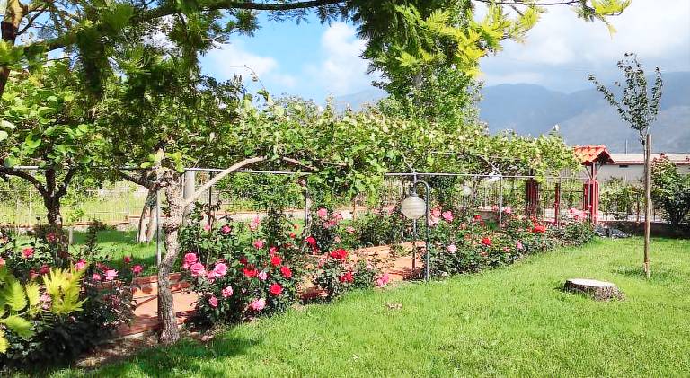Alma Migrante bed&wine in Benevento