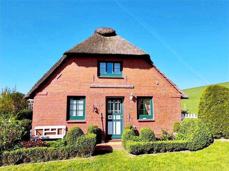 foto1