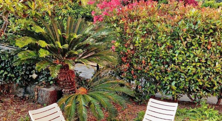 Rental apartment with 2 rooms for 5 persons in Imperia