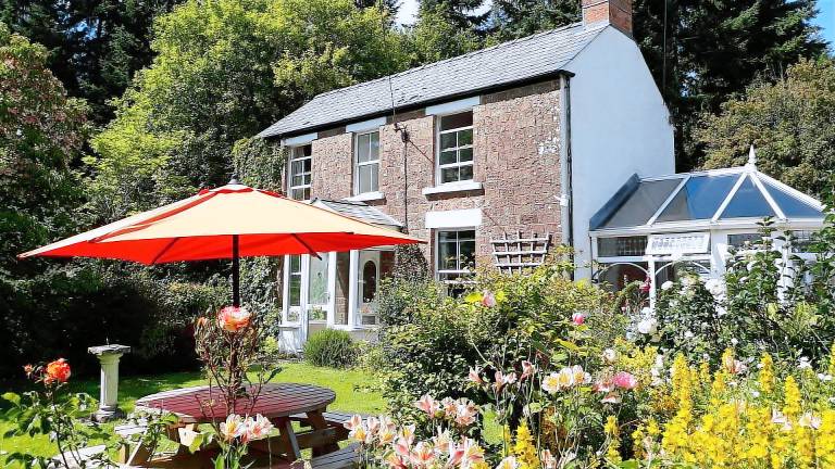 Cottage Viney Hill