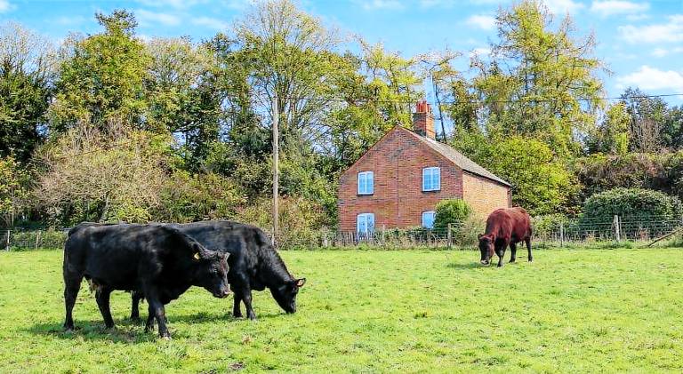 Vacation home | Pets allowed in Canterbury