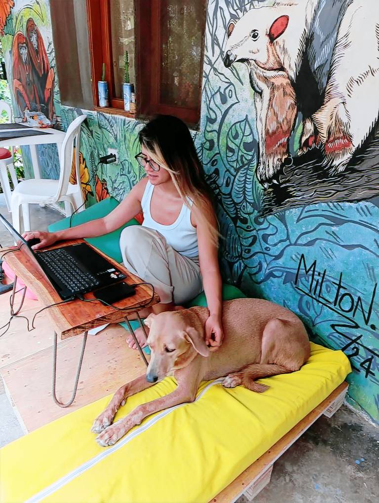 Palomino EcoHouse & Camping — photo 4