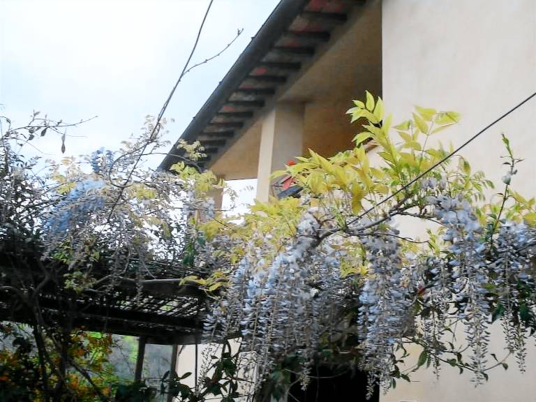 foto3