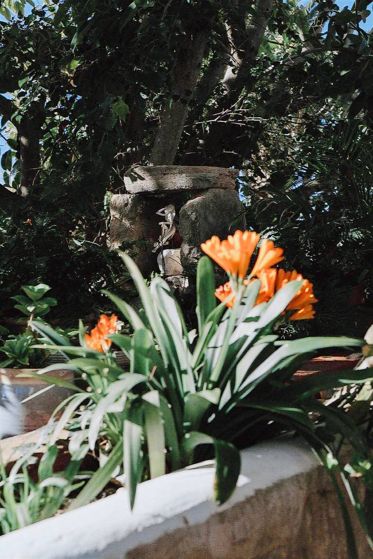 Agroturismo Can Pere Sord in Sant Joan de Labritja