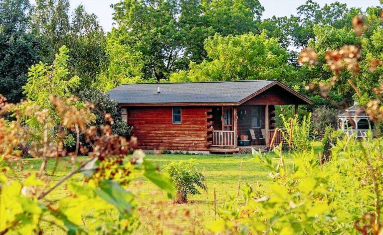 Cabin Lodi