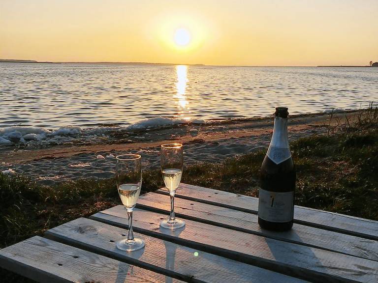 Fully equipped pleasant farm with sauna & barbecue | Pets allowed — photo 5