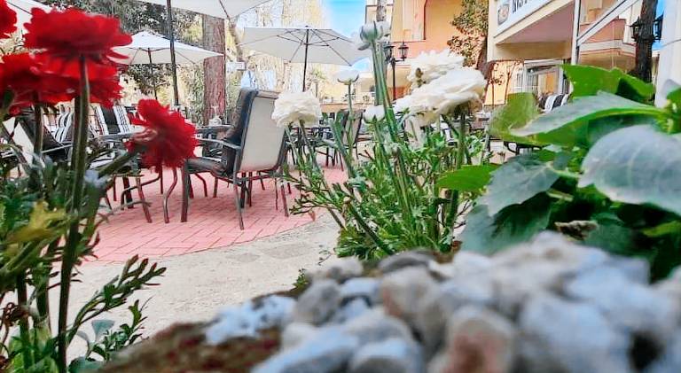 Hotel Anny Cervia — photo 5