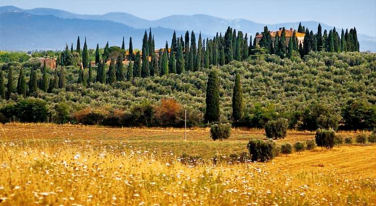 Pleasant house with pool, yard & terrace | Pets allowed in Grosseto