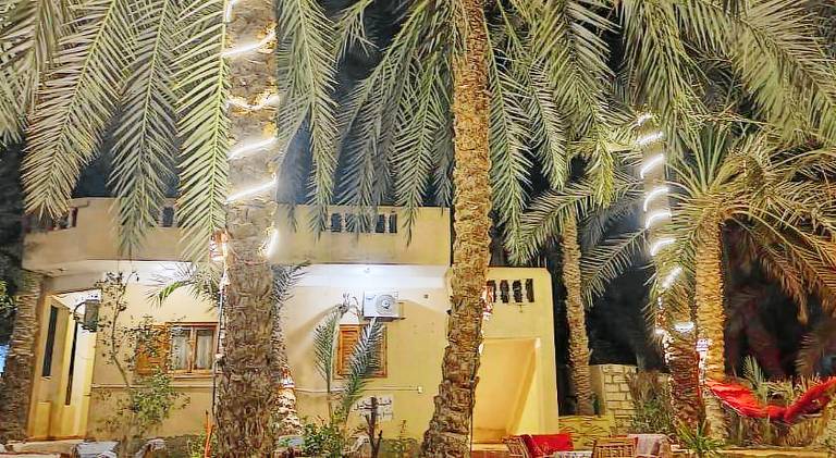 فندق النخيل — photo 4