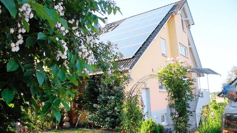 Ferienwohnung Goldscheuer