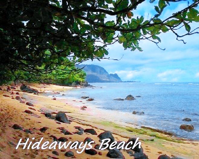 Condo  Princeville
