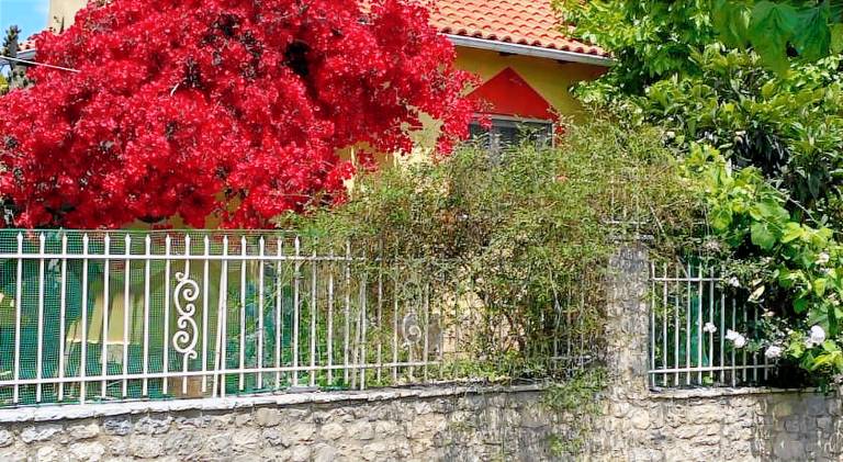 Apartment | Pet-friendly in Aigialeia