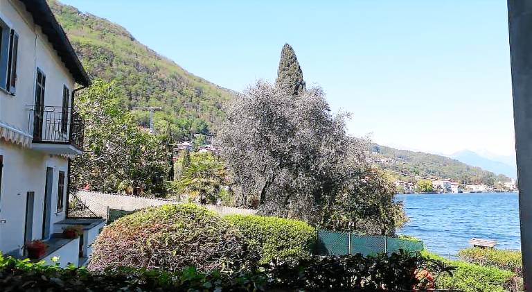 Wonderful holiday apartment | Pets are welcome — photo 4