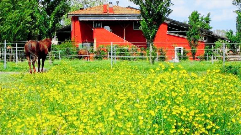 Camera privata Legnago