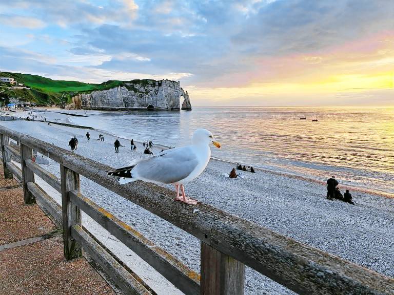 Ferienwohnung  Fécamp