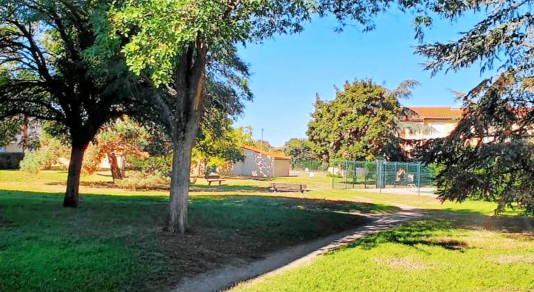 Rental apartment with terrace, private pool & garden in Colomiers