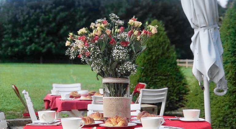 Domaine de L'orangerie du chateau de Motteville chambres d'hotes — photo 4