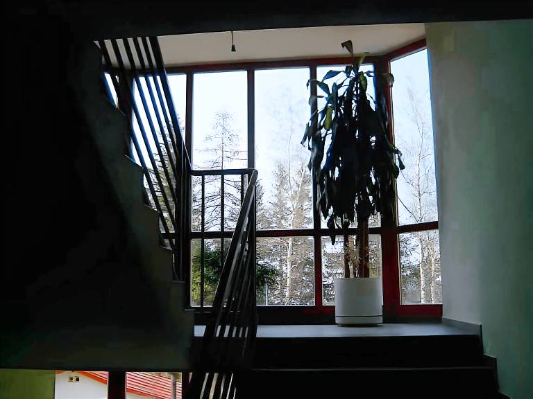 Lovely apartment | Pet-friendly — photo 3