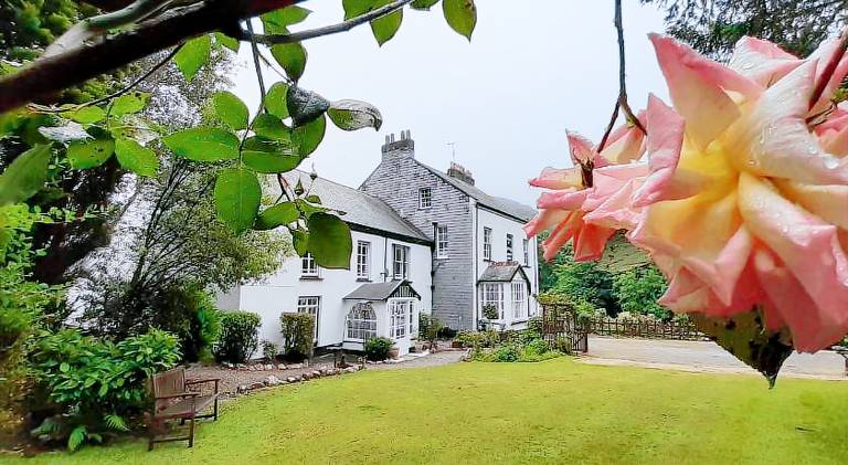 Bed and breakfast  Ilfracombe