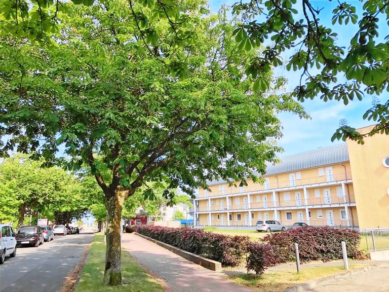 Family-oriented apartment | Next to the beach | Pets are welcome — photo 4