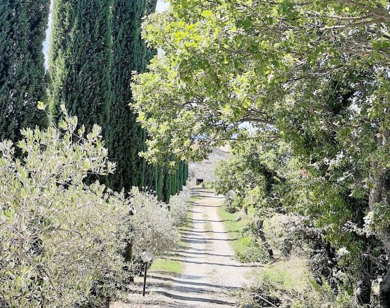 Agriturismo Melodie Toscane: FIORDALISO — photo 2
