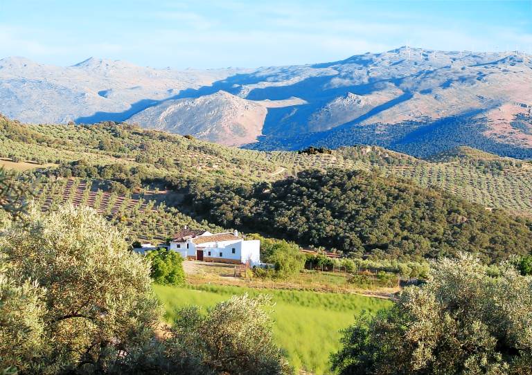 Cortijo rural - 3 maisonnettes et une piscine 100% privée (8-10 pers) — photo 5