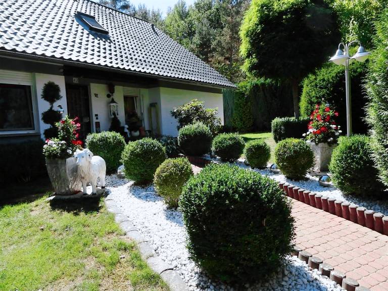 foto1