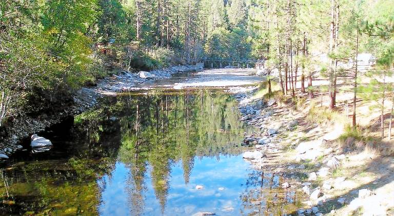 Yosemite Lakes Wheelchair Accessible Cottage 53 — photo 2