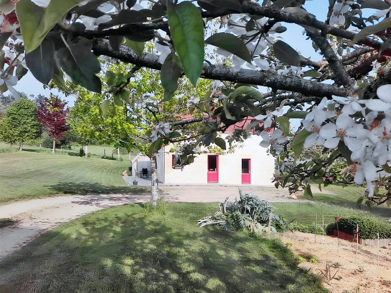 House with terrace, garden & BBQ | Garden view | Good for workation — photo 3