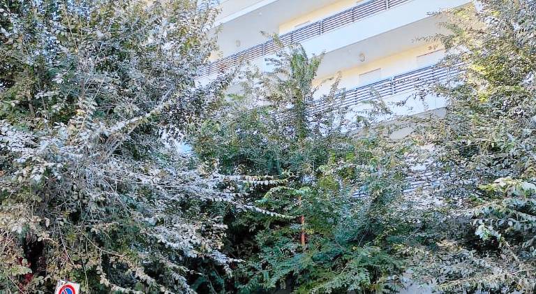 Rental apartment with terrace — photo 3