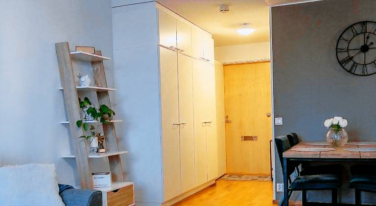 Apartment | Next to Arktikum Science Museum | Pets allowed — photo 5