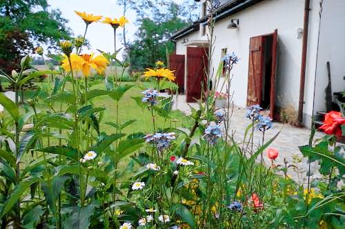 Bed & Breakfast Sochaczew