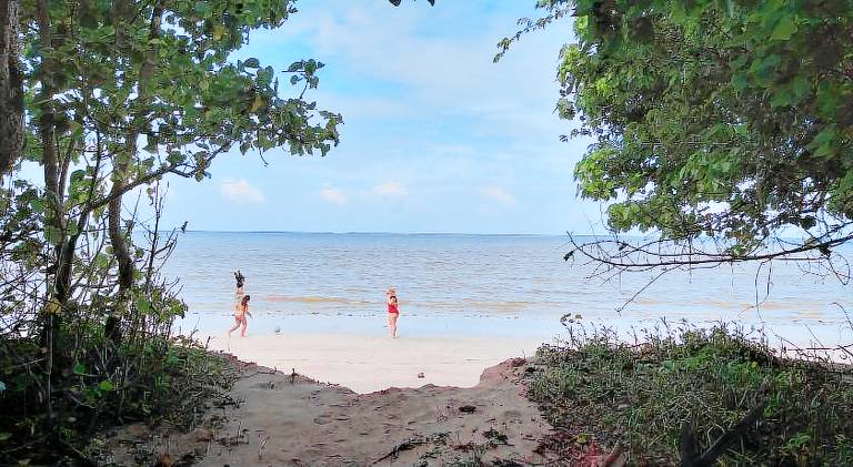House | Beach nearby | Pets are welcome — photo 5