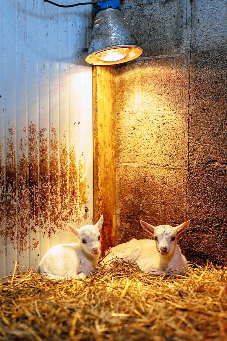 Agriturismo Somma lombardo