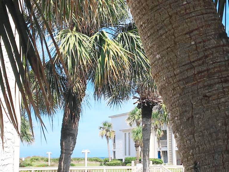 Condo  Crescent Beach