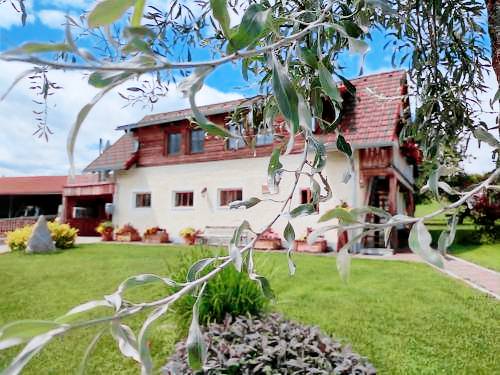 Ferienhaus Präbichl