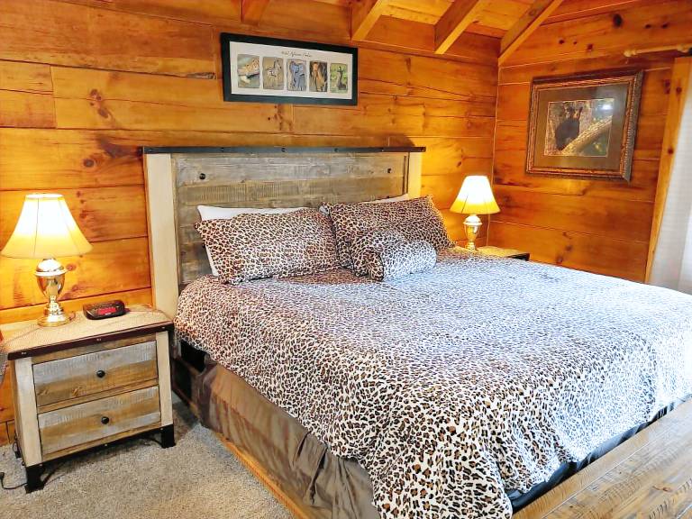Gatlinburg Hot Tub Pet Friendly WiFi Fireplace — photo 3
