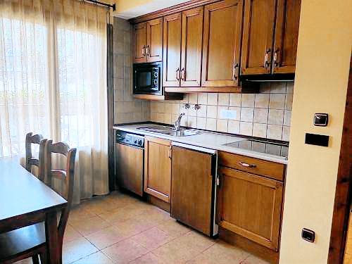 Apartamento Biescas