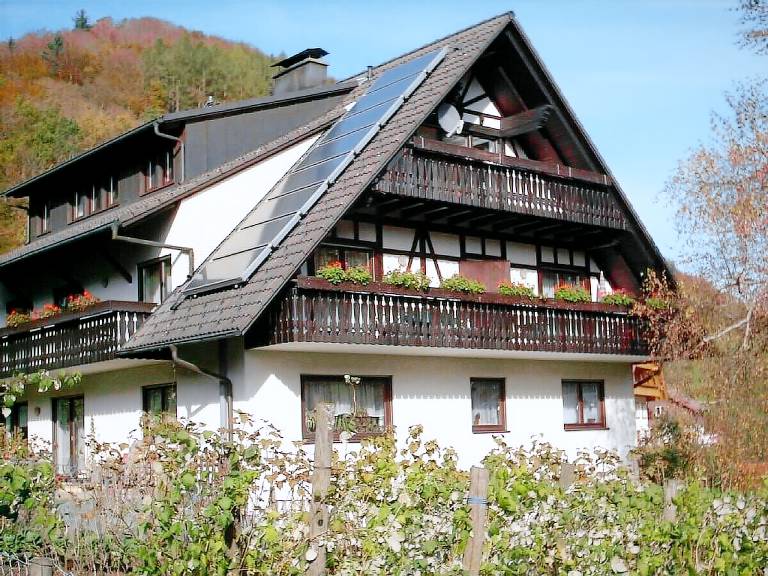 Ferienwohnung Bad Peterstal-Griesbach