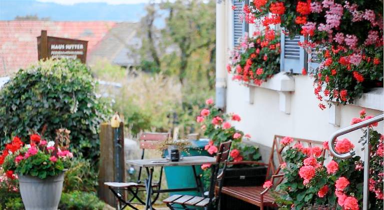 Rental apartment with terrace & yard — photo 4