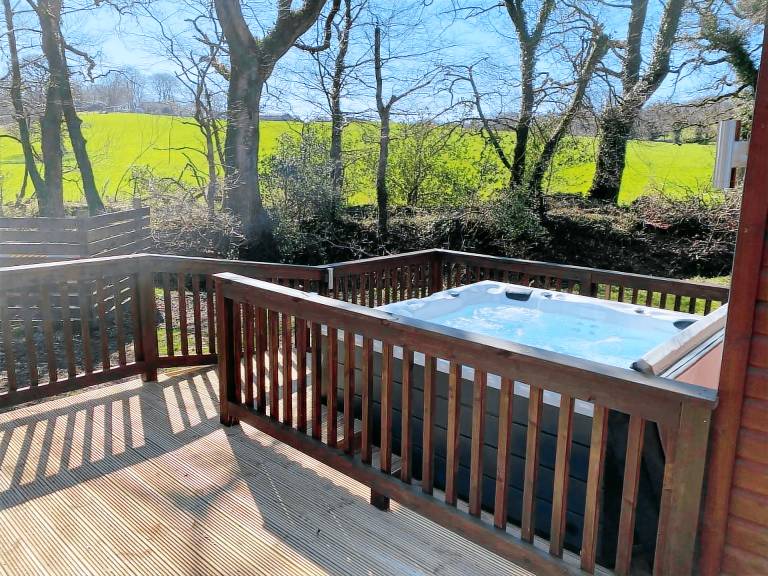 Cottage  Okehampton