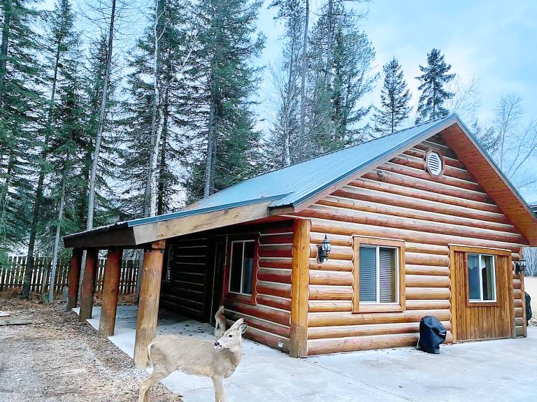 Cabin Bigfork