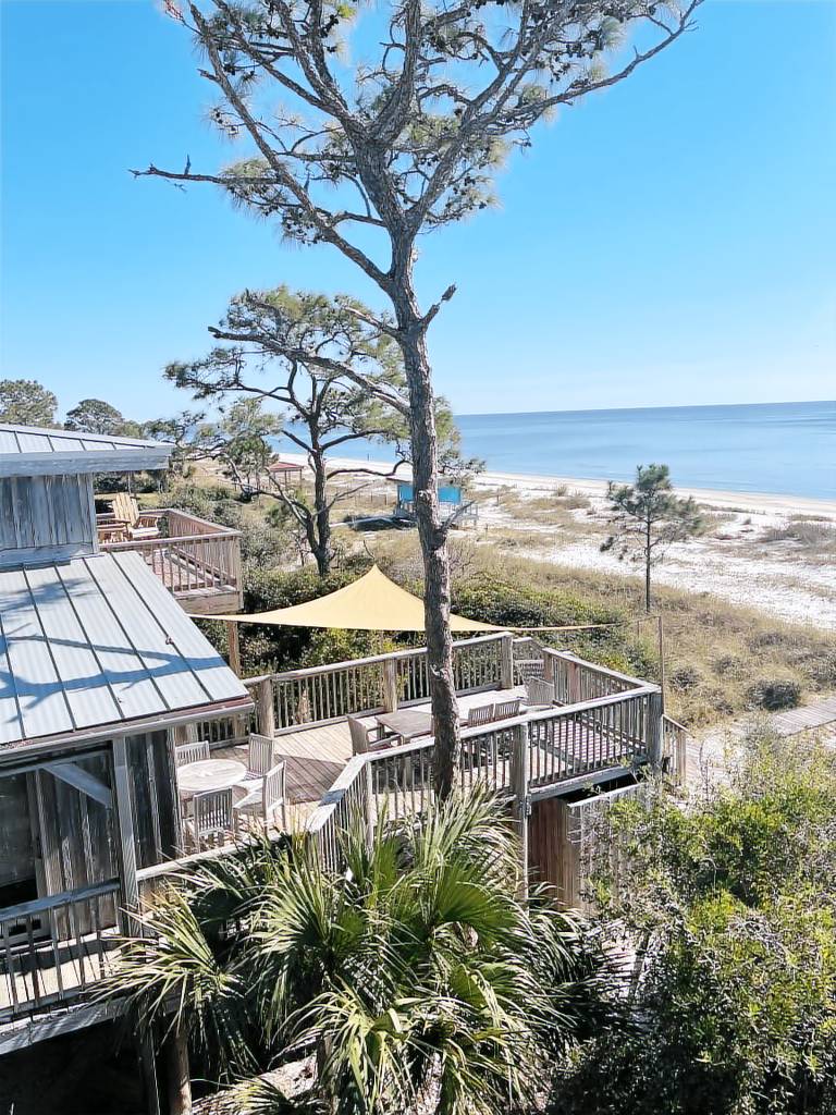 House Alligator Point