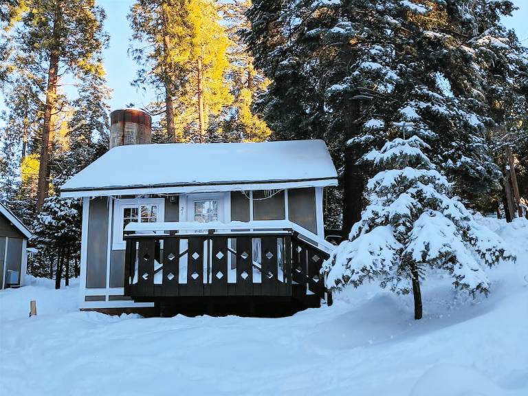 Cabin Lake Arrowhead