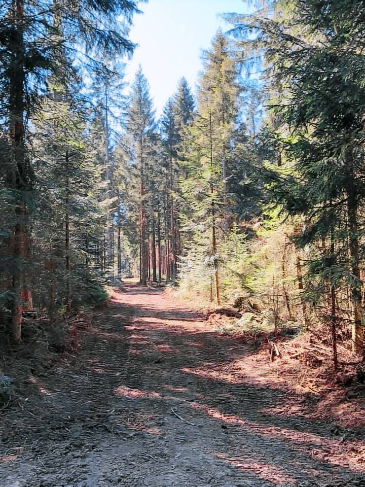 foto4