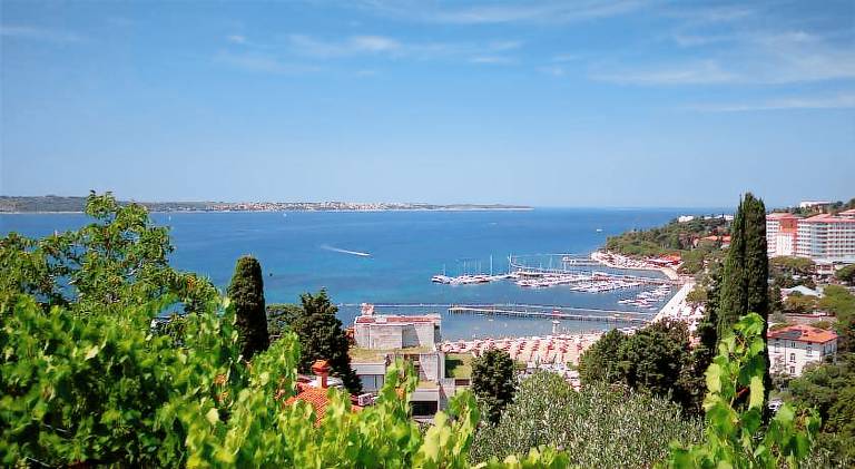 Pleasant holiday apartment | Beach nearby | Pets allowed — photo 3